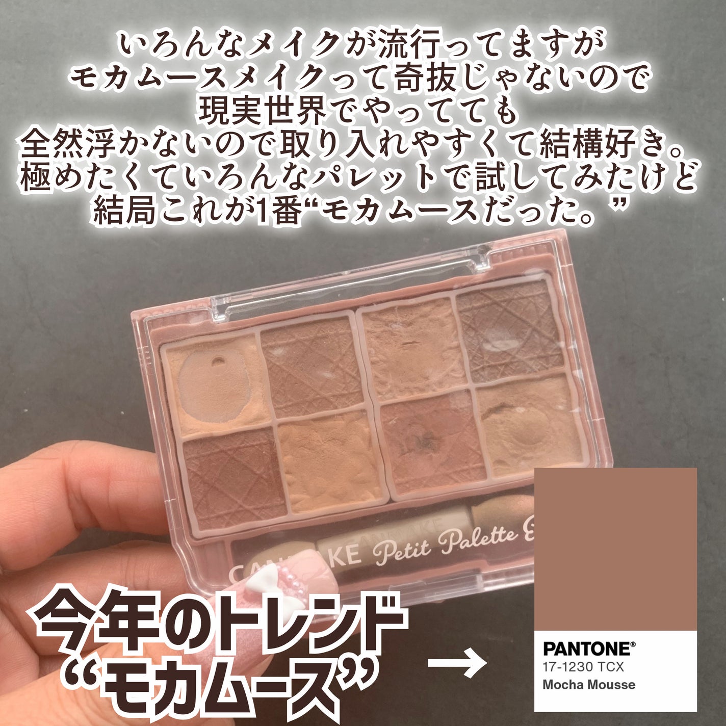 プティパレットアイズ(マットタイプ)/キャンメイク/パウダーアイシャドウを使ったクチコミ(2枚目)