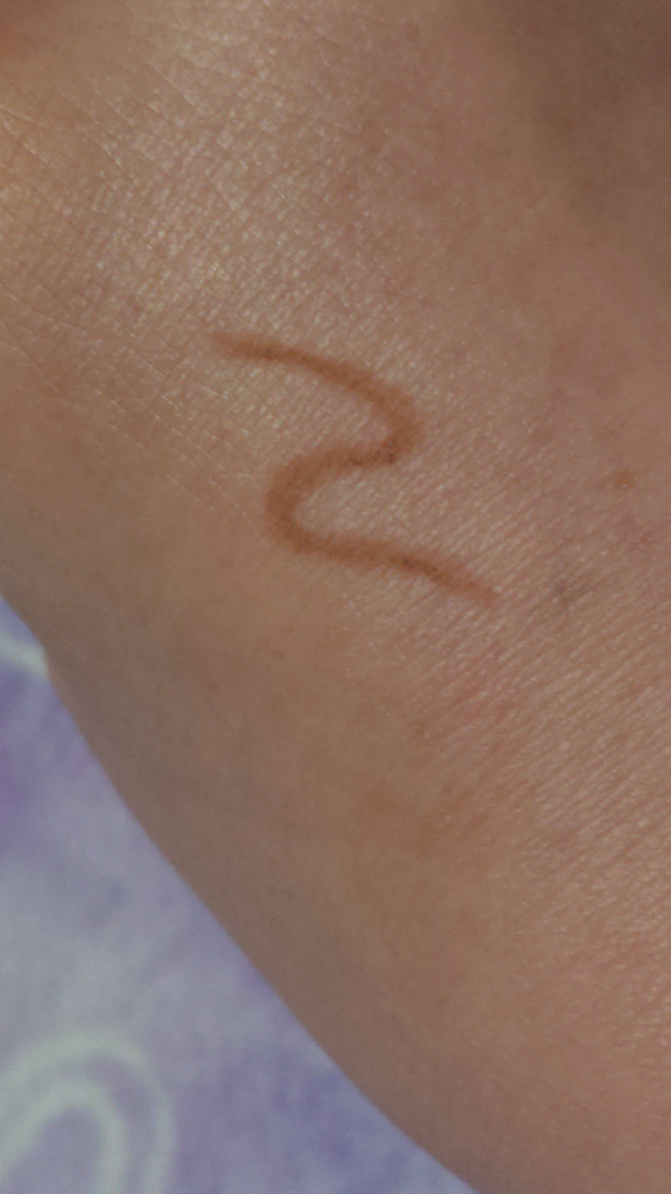 セリア LP アイブロウペンシルのクチコミ「セリアのアイブロウペンシル、Lupinessです。私眉毛描くのバチボコに下手で…いつもパウダー.....」（2枚目）