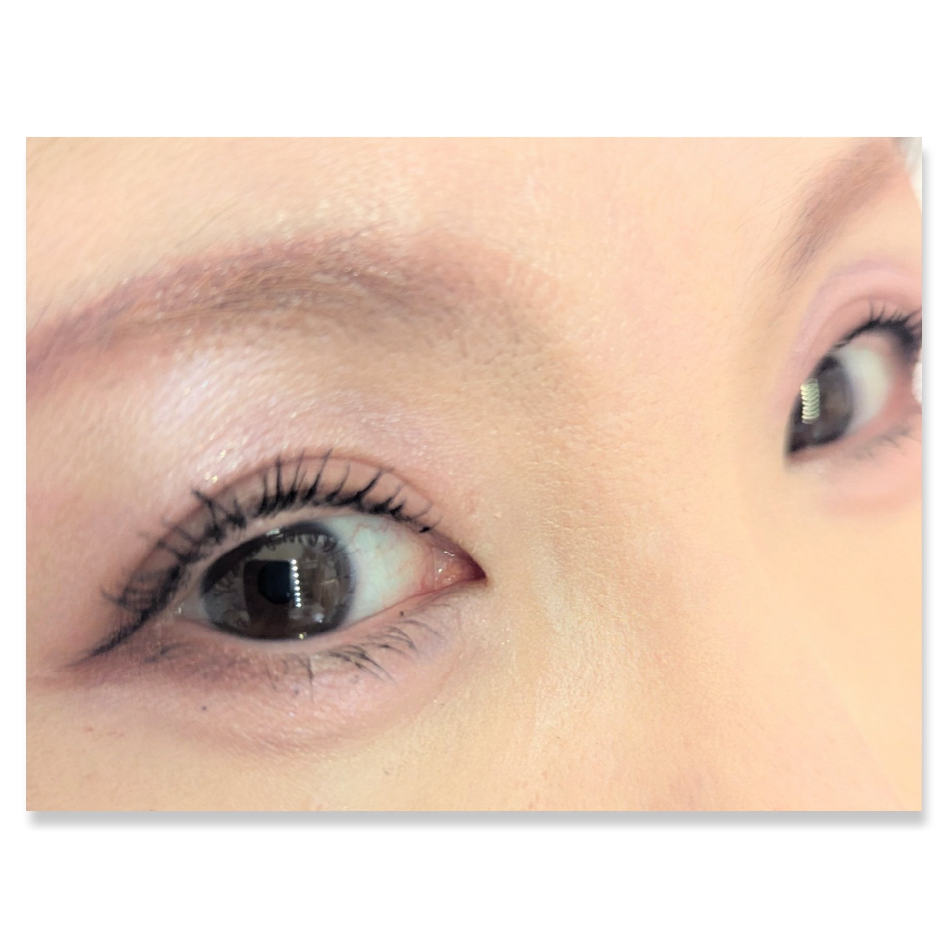 セレクト アイカラー Ｎ/ESPRIQUE/単色アイシャドウを使ったクチコミ（2枚目）