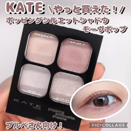 ケイト ポッピングシルエットシャドウ/KATE/アイシャドウパレットを使ったクチコミ(1枚目)