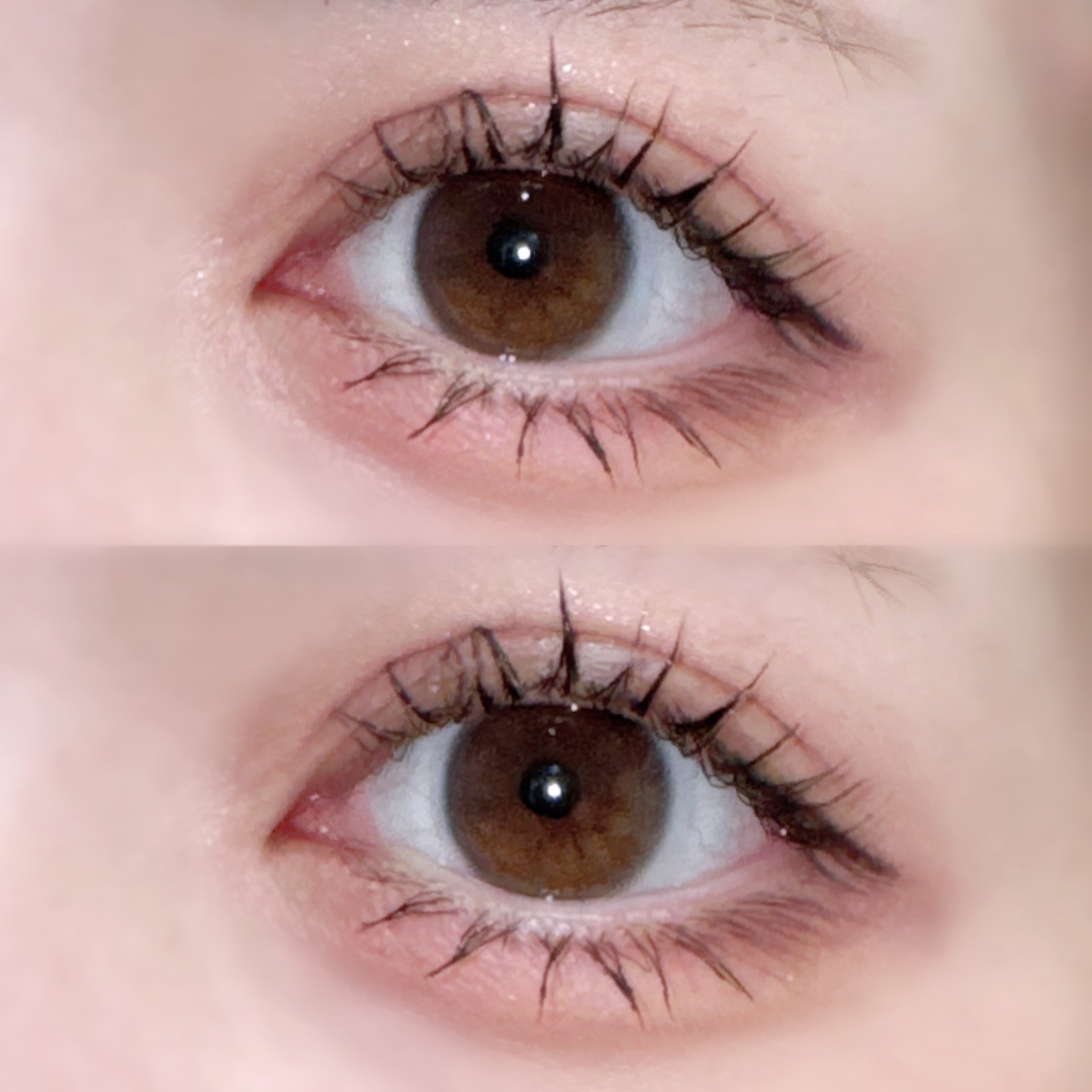 ペリペラ インク ポケット シャドウ パレット/PERIPERA/アイシャドウパレットを使ったクチコミ（2枚目）