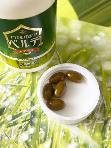 ブラジルプロポリスベルデカプセル/コパル物産/健康サプリメントを使ったクチコミ(2枚目)