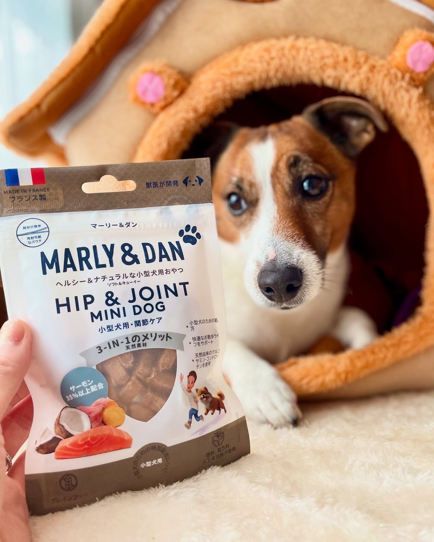 KYC★フォロバ120% on LIPS 「\愛犬の健康をサポート❣️/関節ケアに特化したMarly&Da..」(1枚目)