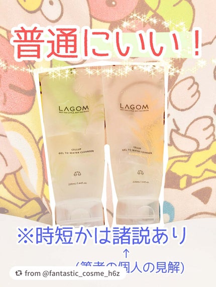 ラゴム ジェルトゥウォーター クレンザー(LV)(朝用洗顔)/LAGOM /その他洗顔料を使ったクチコミ(1枚目)
