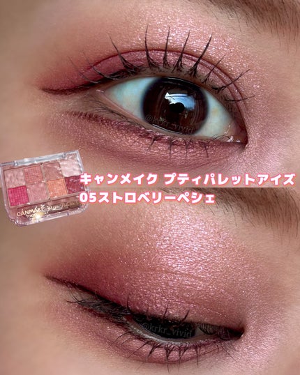 プティパレットアイズ/キャンメイク/パウダーアイシャドウを使ったクチコミ(2枚目)
