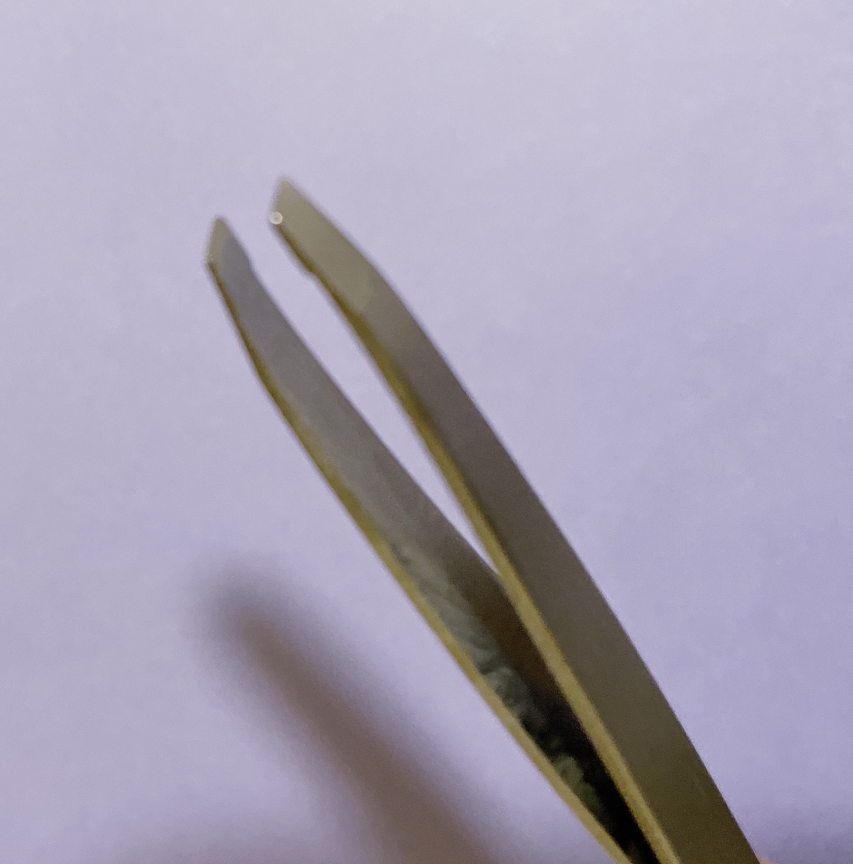 2WAYツイザー/DAISO/その他化粧小物を使ったクチコミ（3枚目）