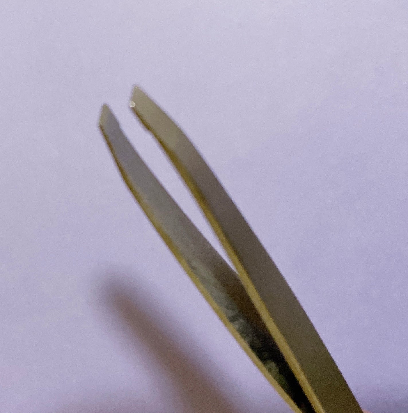 2WAYツイザー/DAISO/その他化粧小物を使ったクチコミ(3枚目)