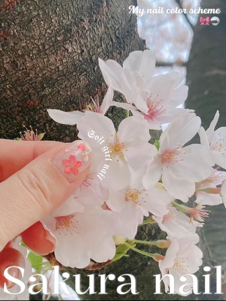 ネイルシール/DAISO/ネイルシールを使ったクチコミ(1枚目)