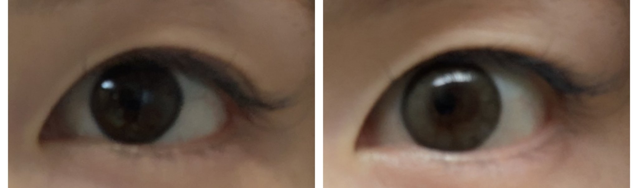 TOPARDS 1day/TOPARDS/ワンデー（１DAY）カラコンを使ったクチコミ（2枚目）