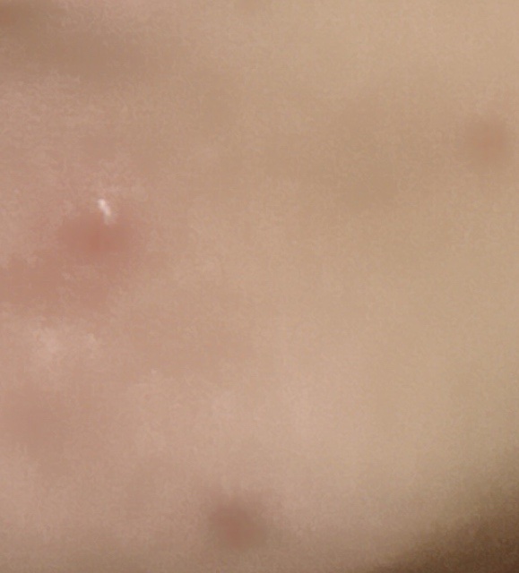 CICA クリーム/VT/フェイスクリームを使ったクチコミ（3枚目）