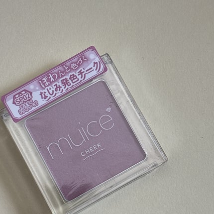 ぽわんチーク SP02 ダスティドライローズ(限定)/muice/パウダーチークの画像