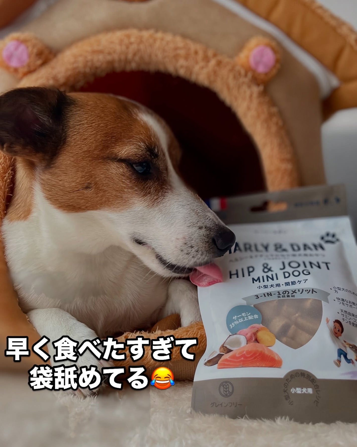 KYC★フォロバ120% on LIPS 「\愛犬の健康をサポート❣️/関節ケアに特化したMarly&Da..」(7枚目)