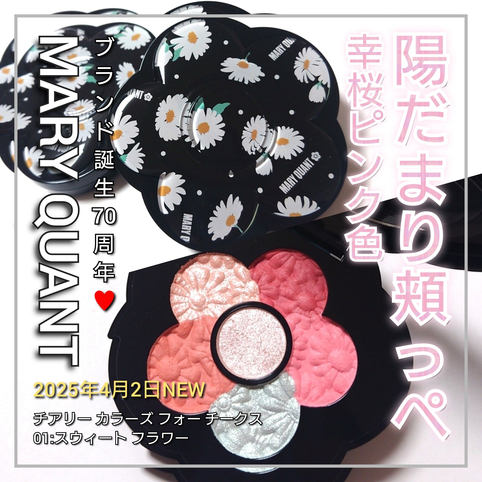 チアリー カラーズ フォー チークス/MARY QUANT/パウダーチークを使ったクチコミ（1枚目）