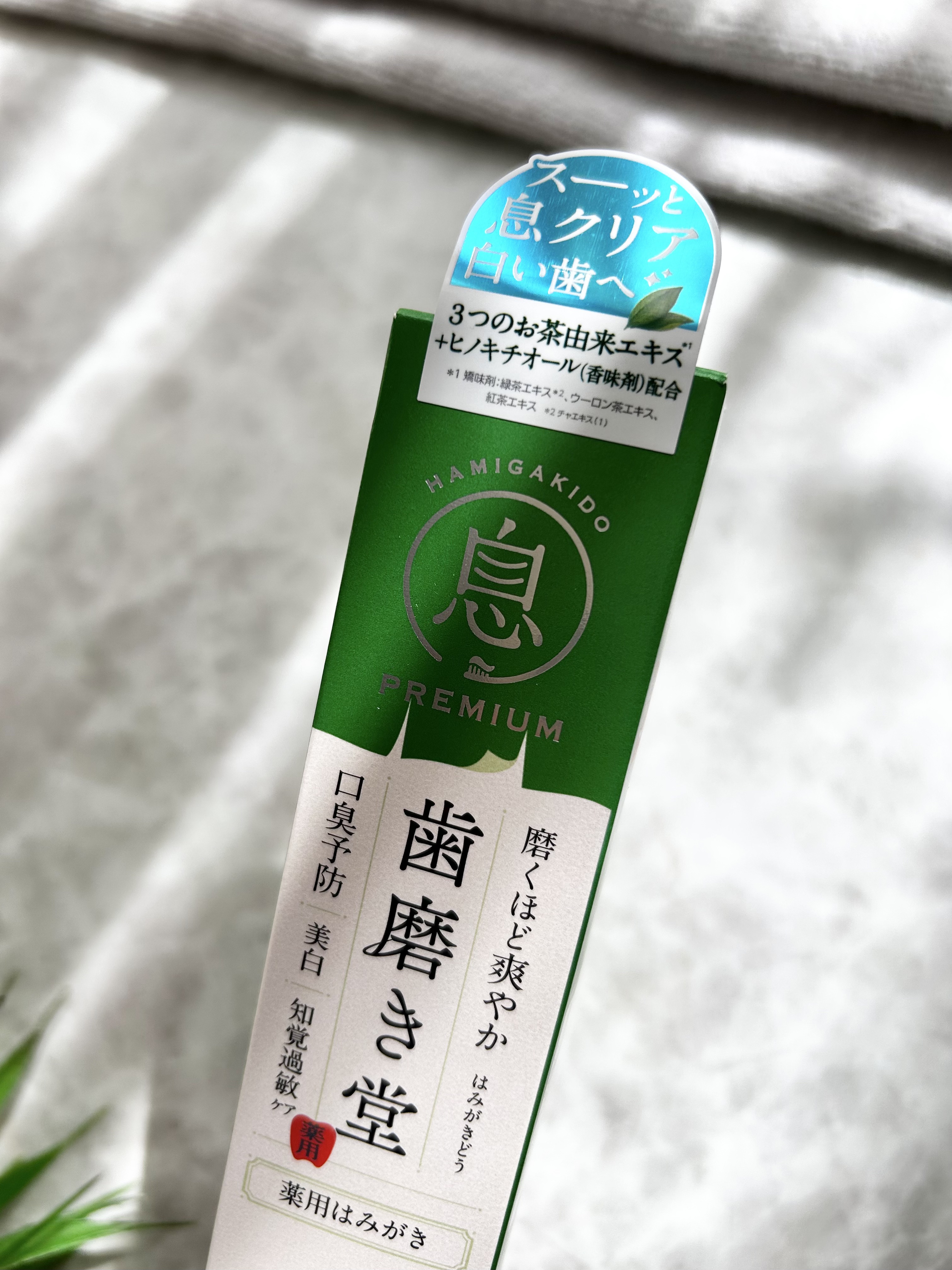 薬用フレッシュペースト【医薬部外品】/歯磨き堂/歯磨き粉を使ったクチコミ（2枚目）