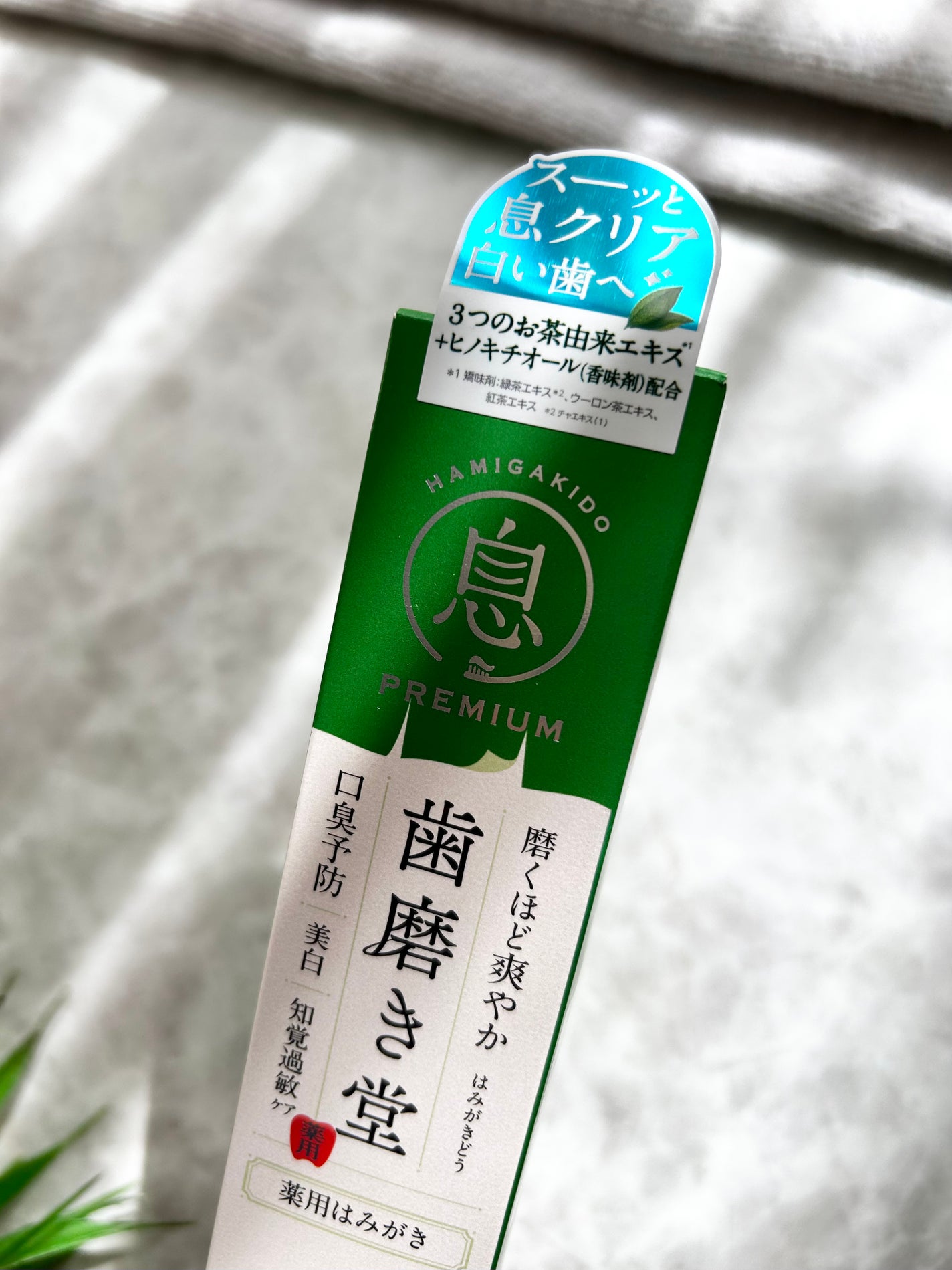 薬用フレッシュペースト【医薬部外品】/歯磨き堂/歯磨き粉を使ったクチコミ(2枚目)