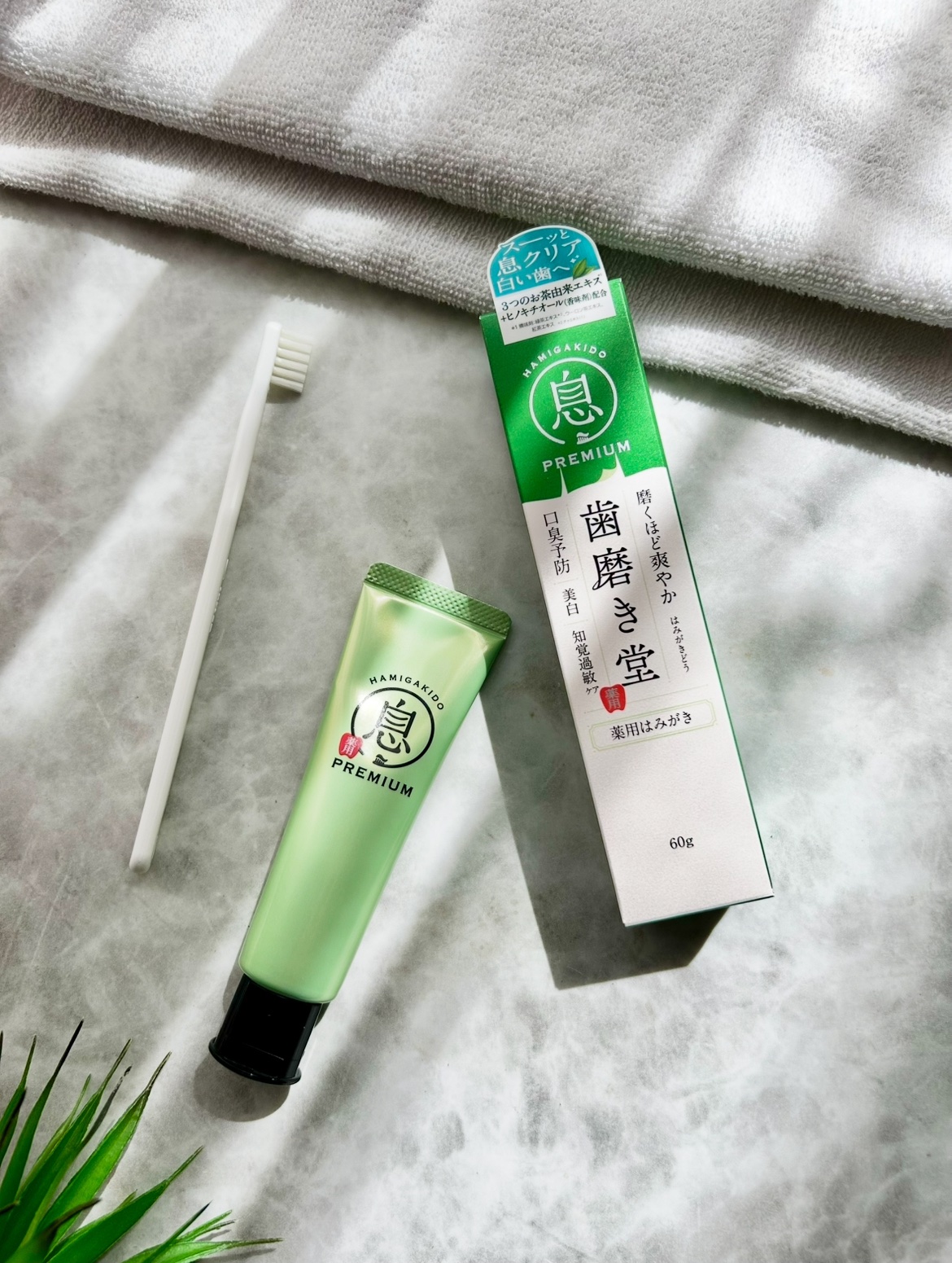 薬用フレッシュペースト【医薬部外品】/歯磨き堂/歯磨き粉を使ったクチコミ（1枚目）