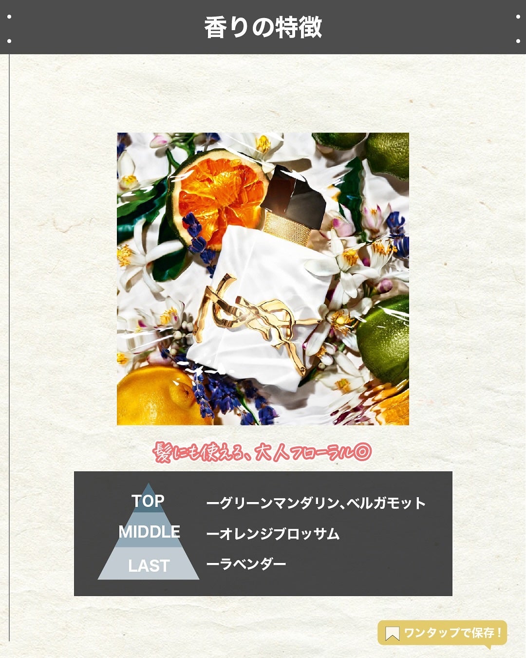 エスログ┊1日1分のモテ香水紹介 on LIPS 「.『人気香水最強新作』🌳製品情報🌳YvesSaintLaure..」(3枚目)