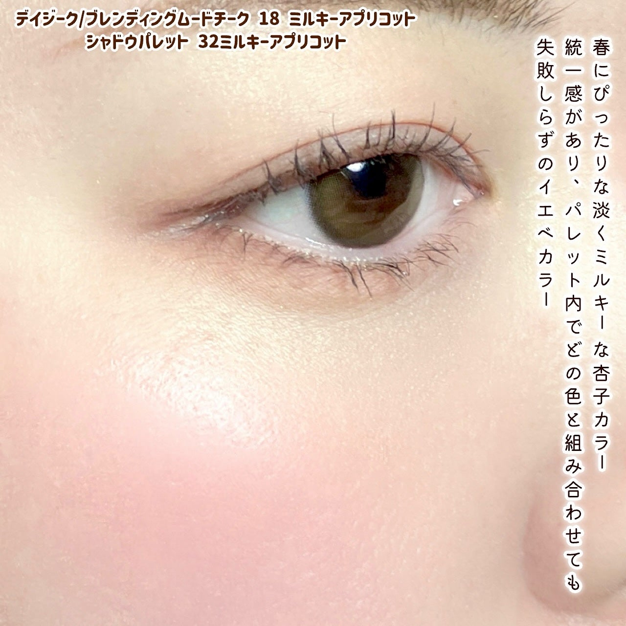 シャドウパレット/dasique/アイシャドウパレットを使ったクチコミ(4枚目)