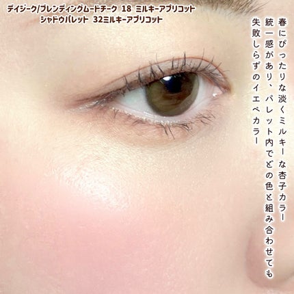 シャドウパレット/dasique/アイシャドウパレットを使ったクチコミ(4枚目)