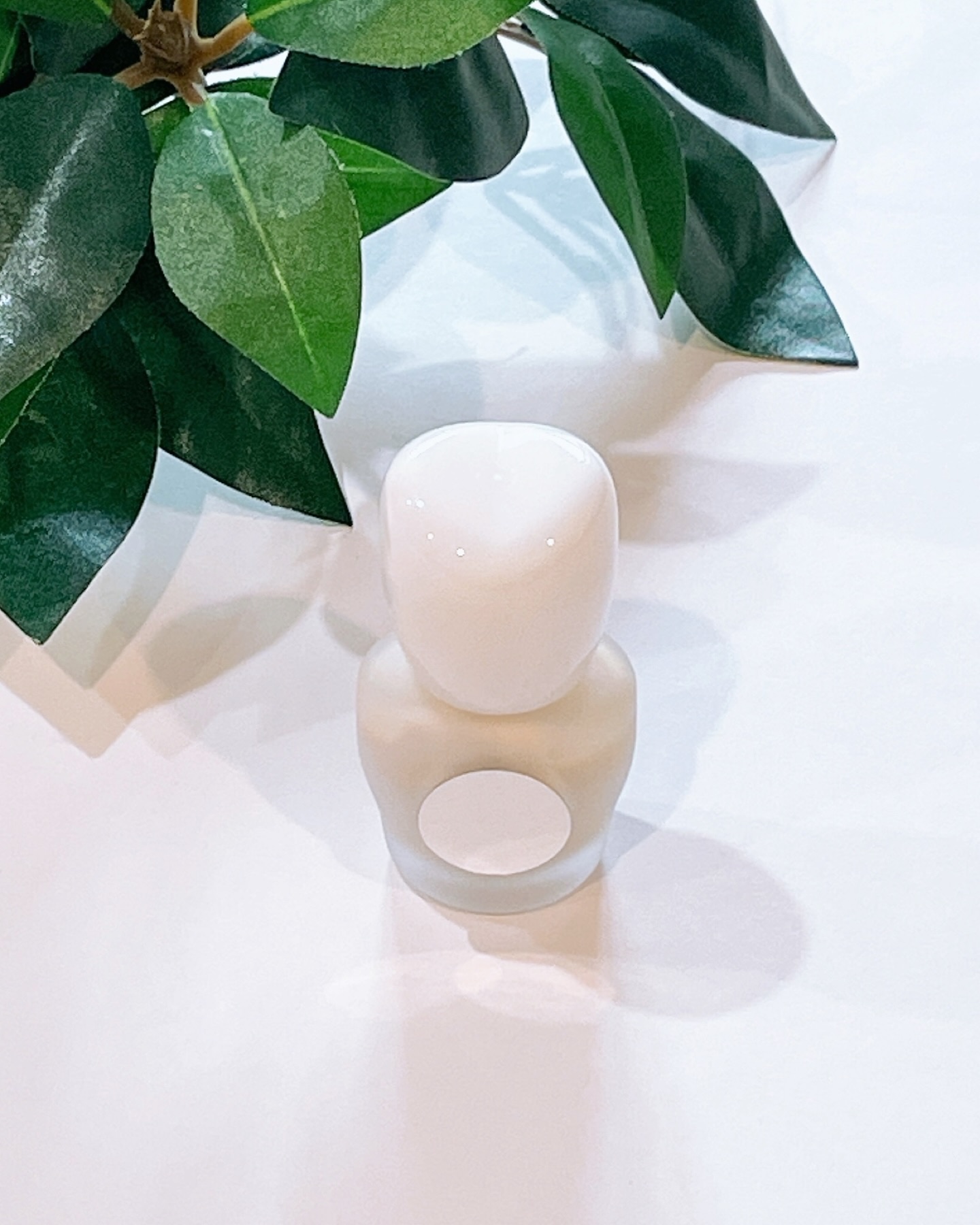 ハニックDC スノー/ハニック・ホワイトラボ/その他オーラルケアを使ったクチコミ（3枚目）