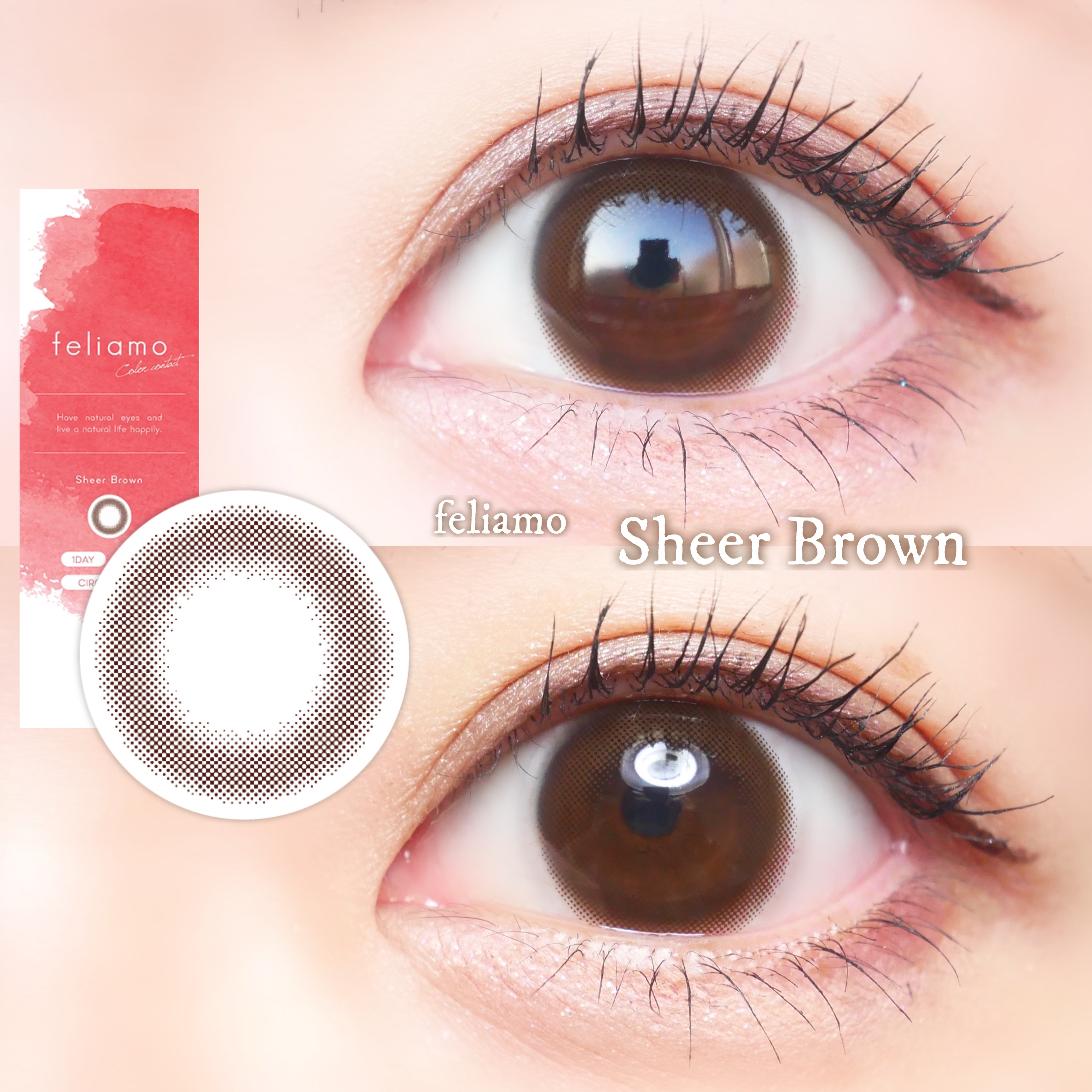feliamo 1day/feliamo/ワンデー（１DAY）カラコンを使ったクチコミ（1枚目）