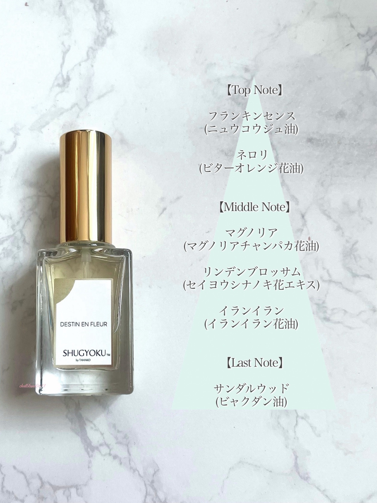 試してみた】ディスタン アン フルール SHUGYOKUのリアルな