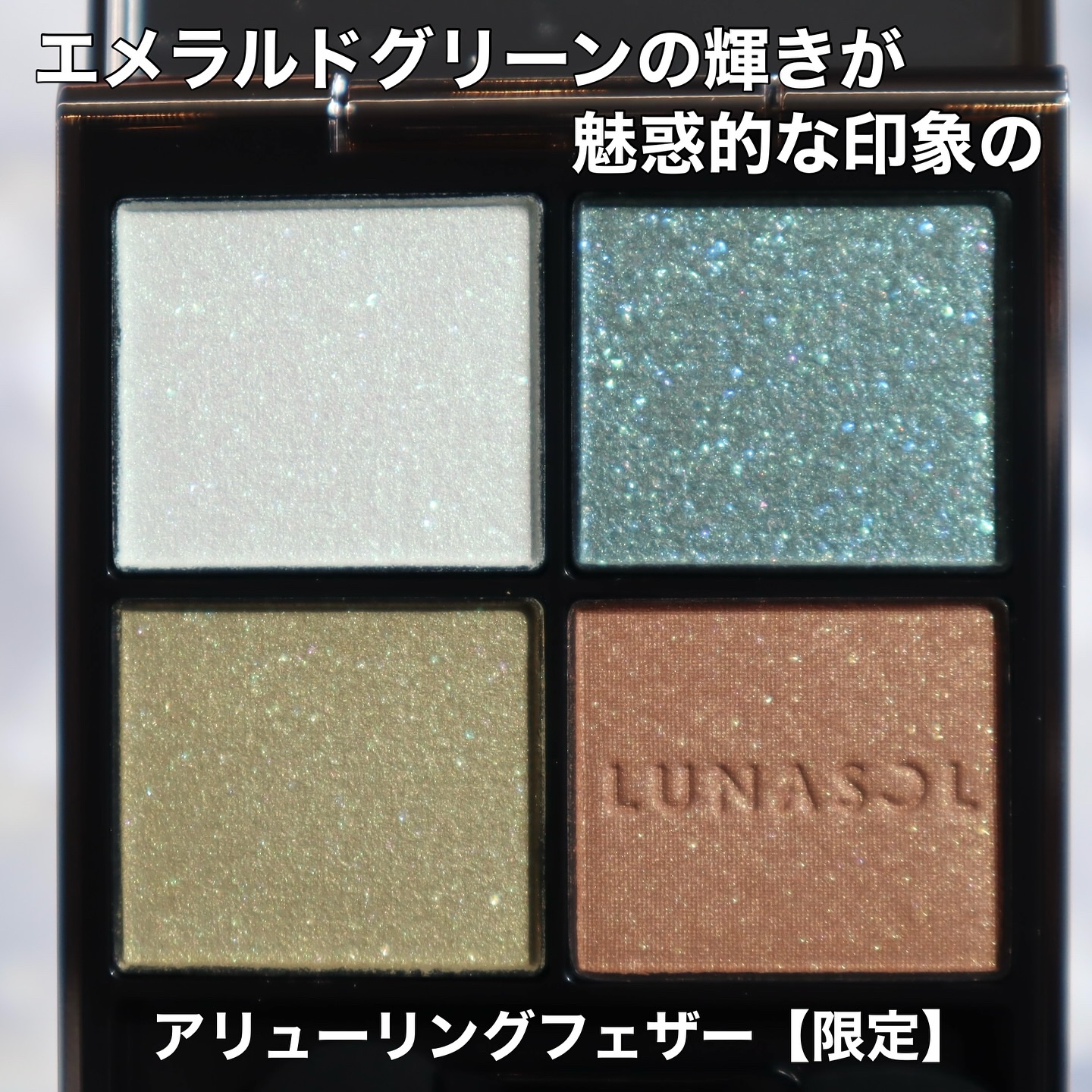 ルナソル アイカラーレーションN/LUNASOL/アイシャドウパレットを使ったクチコミ（2枚目）