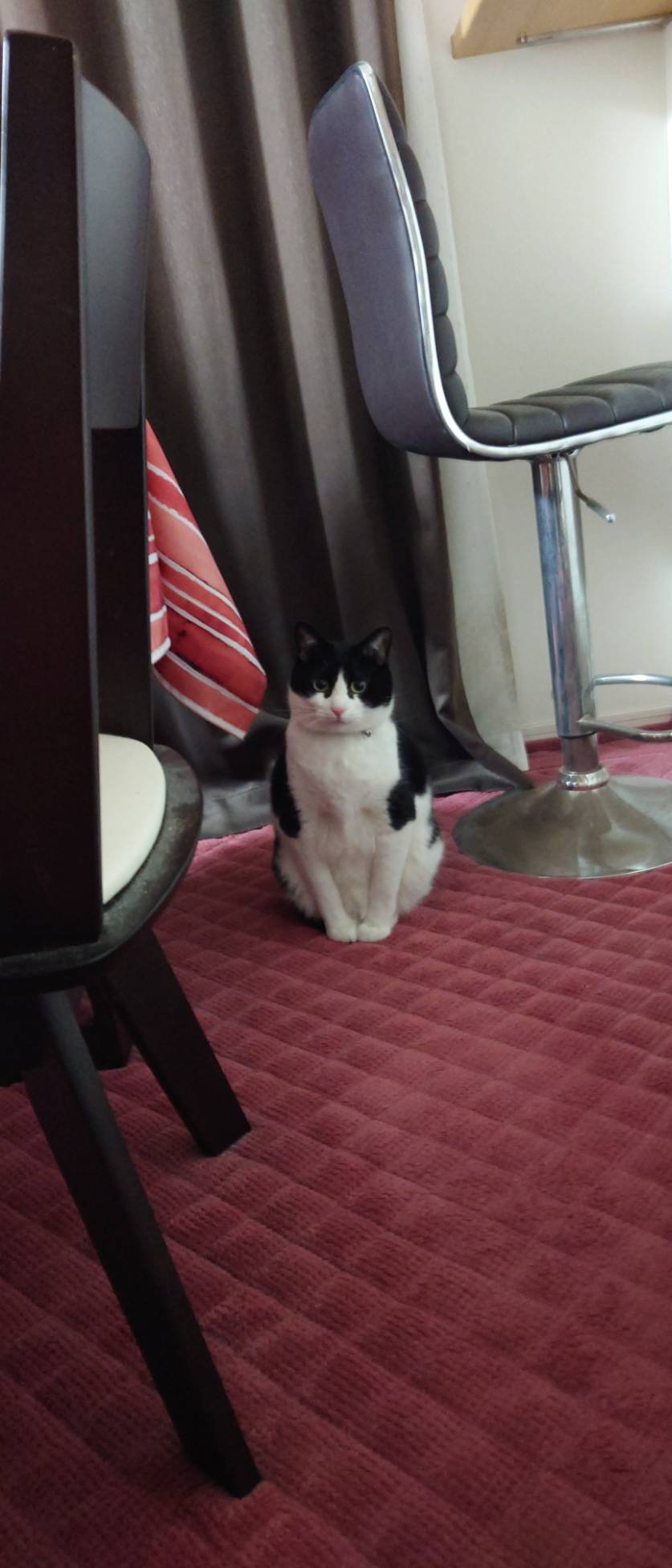 アニマルアイシャドウ(4シェード)/ZEESEA/アイシャドウパレットを使ったクチコミ（3枚目）