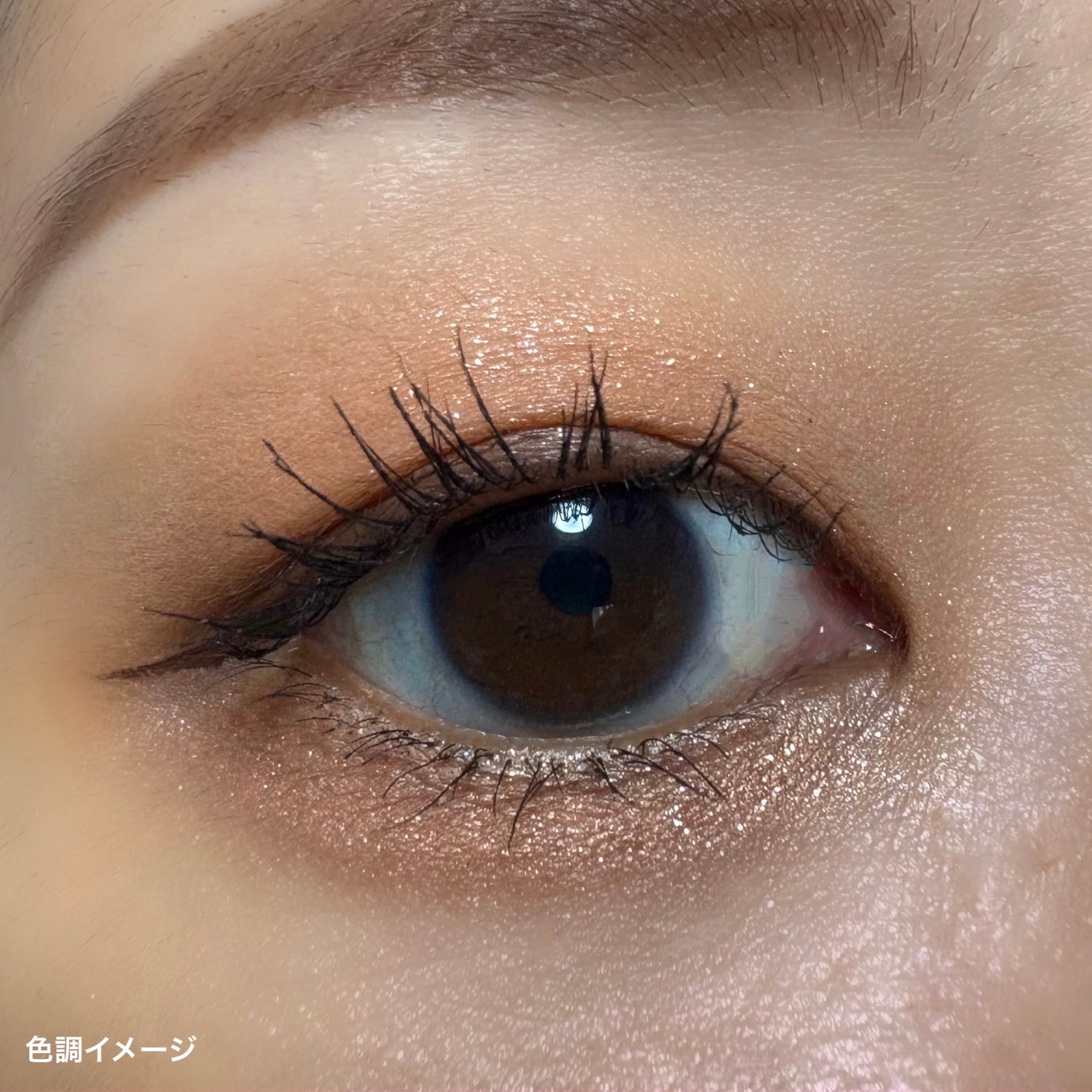 トーン ペタル フロート アイパレット/to/one/アイシャドウパレットを使ったクチコミ(3枚目)