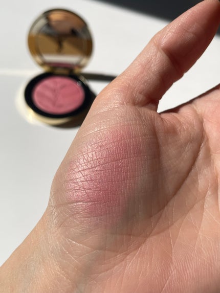 YSL メイクミーブラッシュ パウダー 44 NUDE LAVALLIERE / YVES YSL メイクミーブラッシュ パウダー 44 NUDE LAVALLIERE / YVES