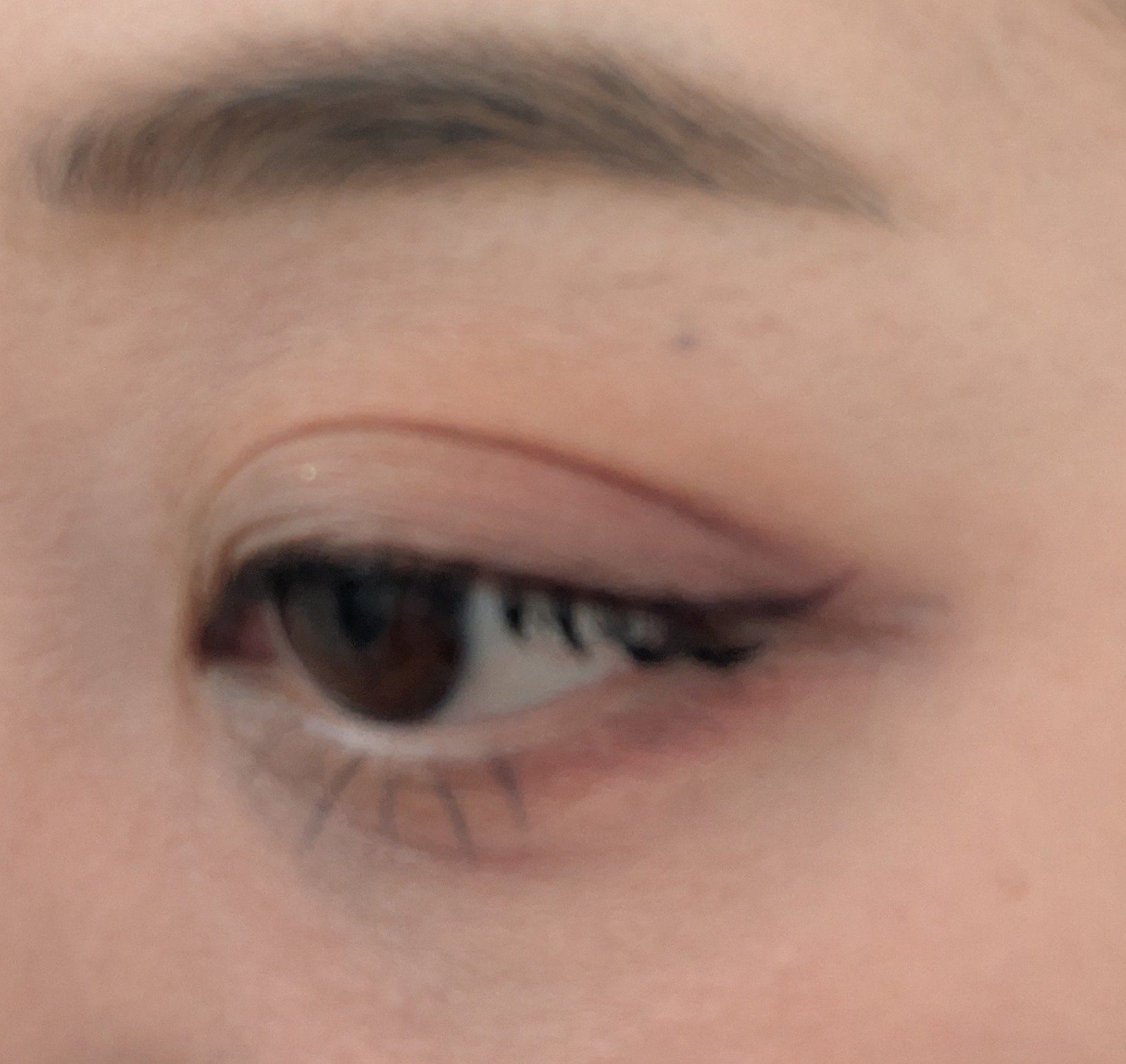 アニマルアイシャドウ(4シェード)/ZEESEA/アイシャドウパレットを使ったクチコミ（3枚目）