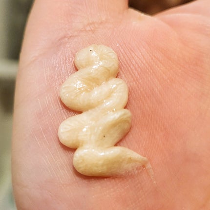 ポア ピュリファイング マイルドクレンザー/CHICHO/洗顔フォームを使ったクチコミ(4枚目)