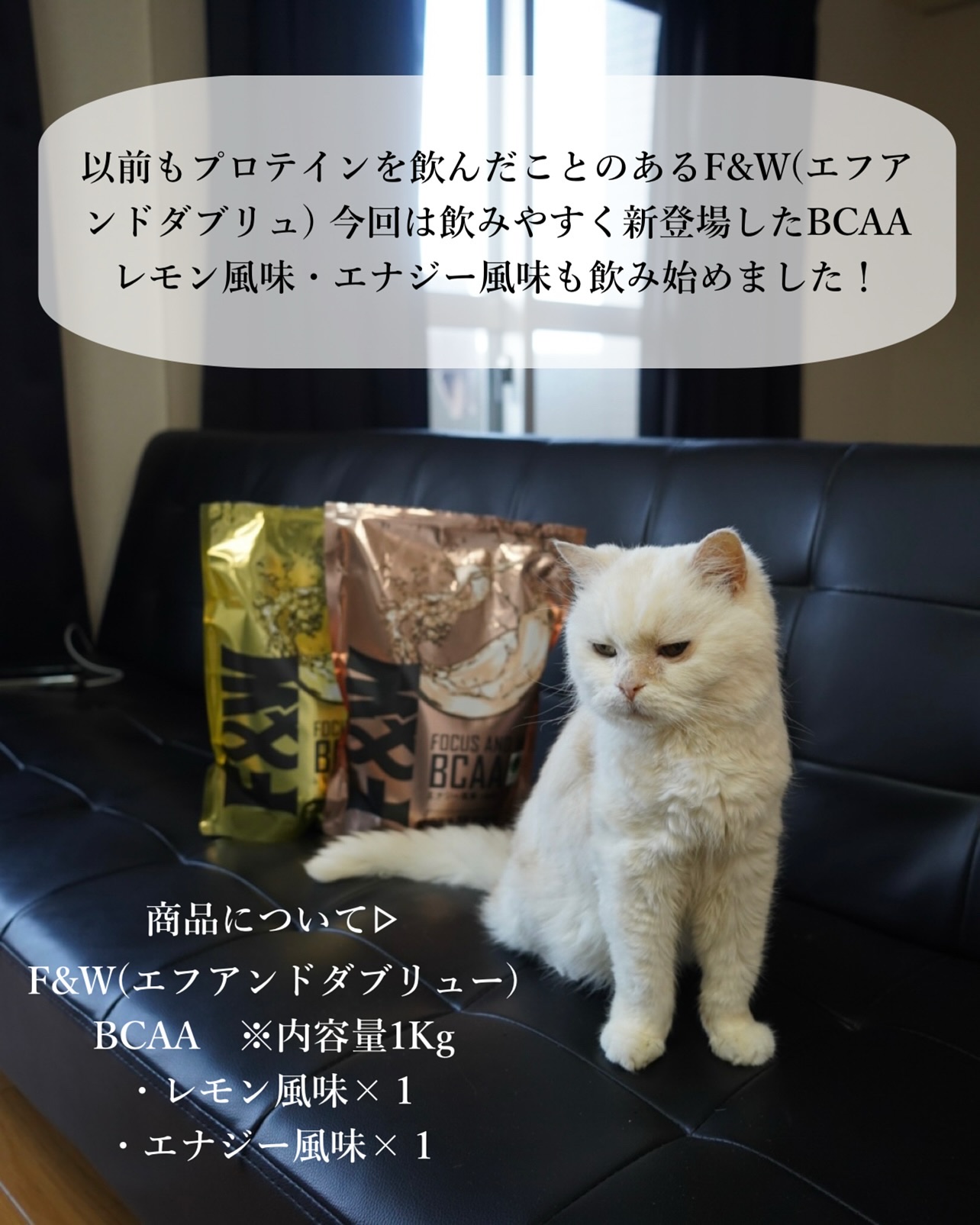 BCAA/F&W/ボディサプリメントを使ったクチコミ（3枚目）