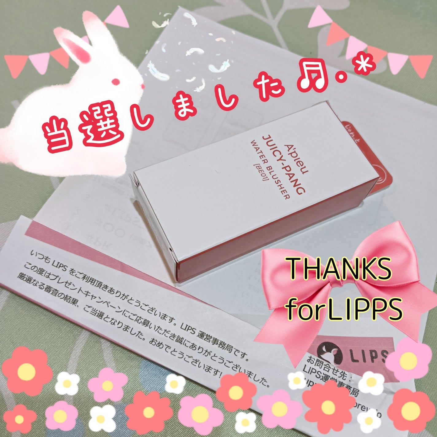 アピュー ジューシーパン ウォーターブラッシャー/A’pieu/リキッドチークを使ったクチコミ(1枚目)