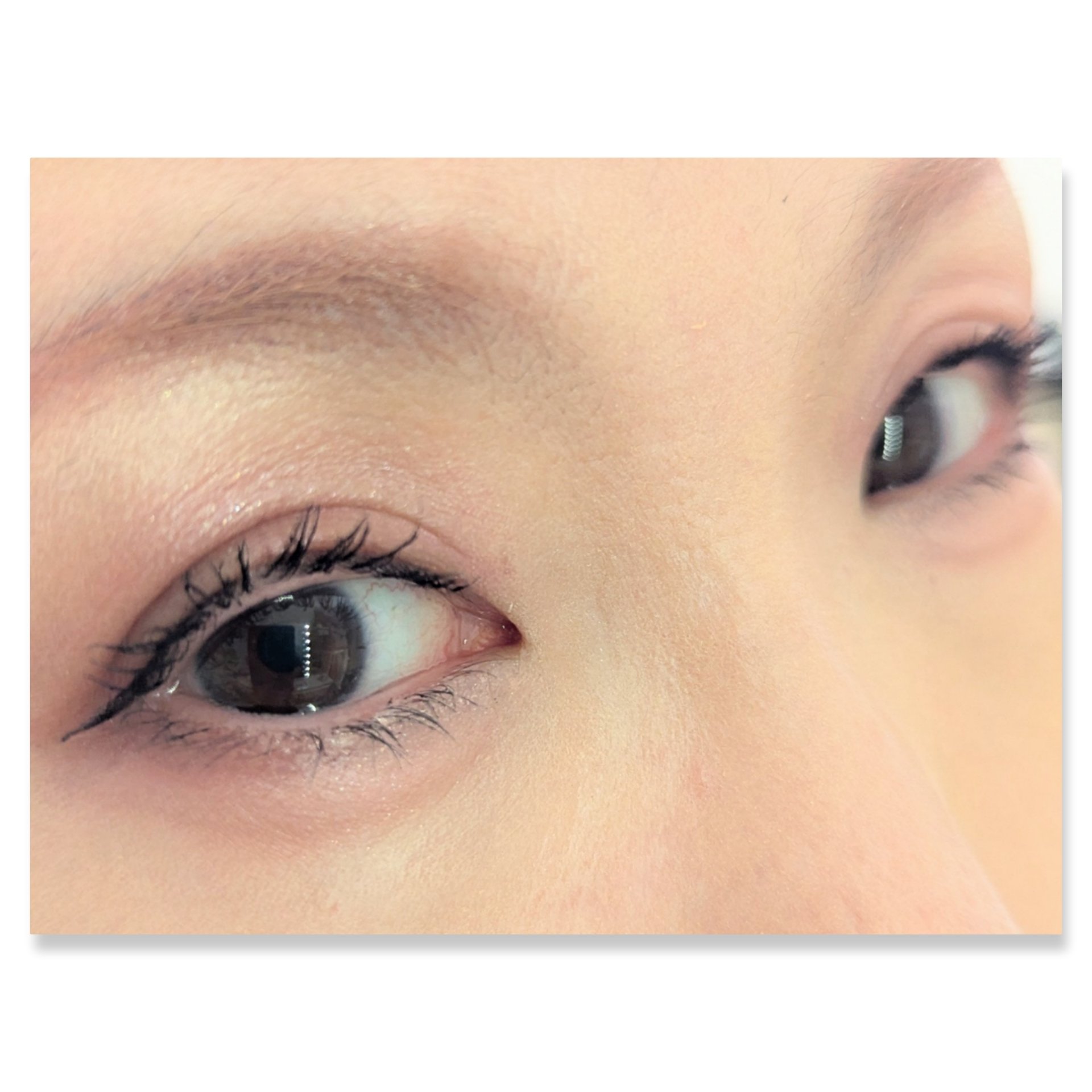 シルキースフレアイズ（マットタイプ）/キャンメイク/アイシャドウパレットを使ったクチコミ（2枚目）