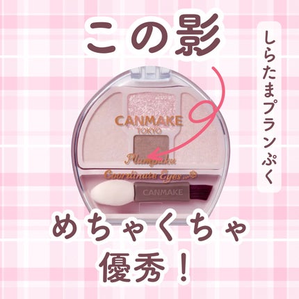 プランぷくコーデアイズNeo/キャンメイク/アイシャドウを使ったクチコミ(1枚目)