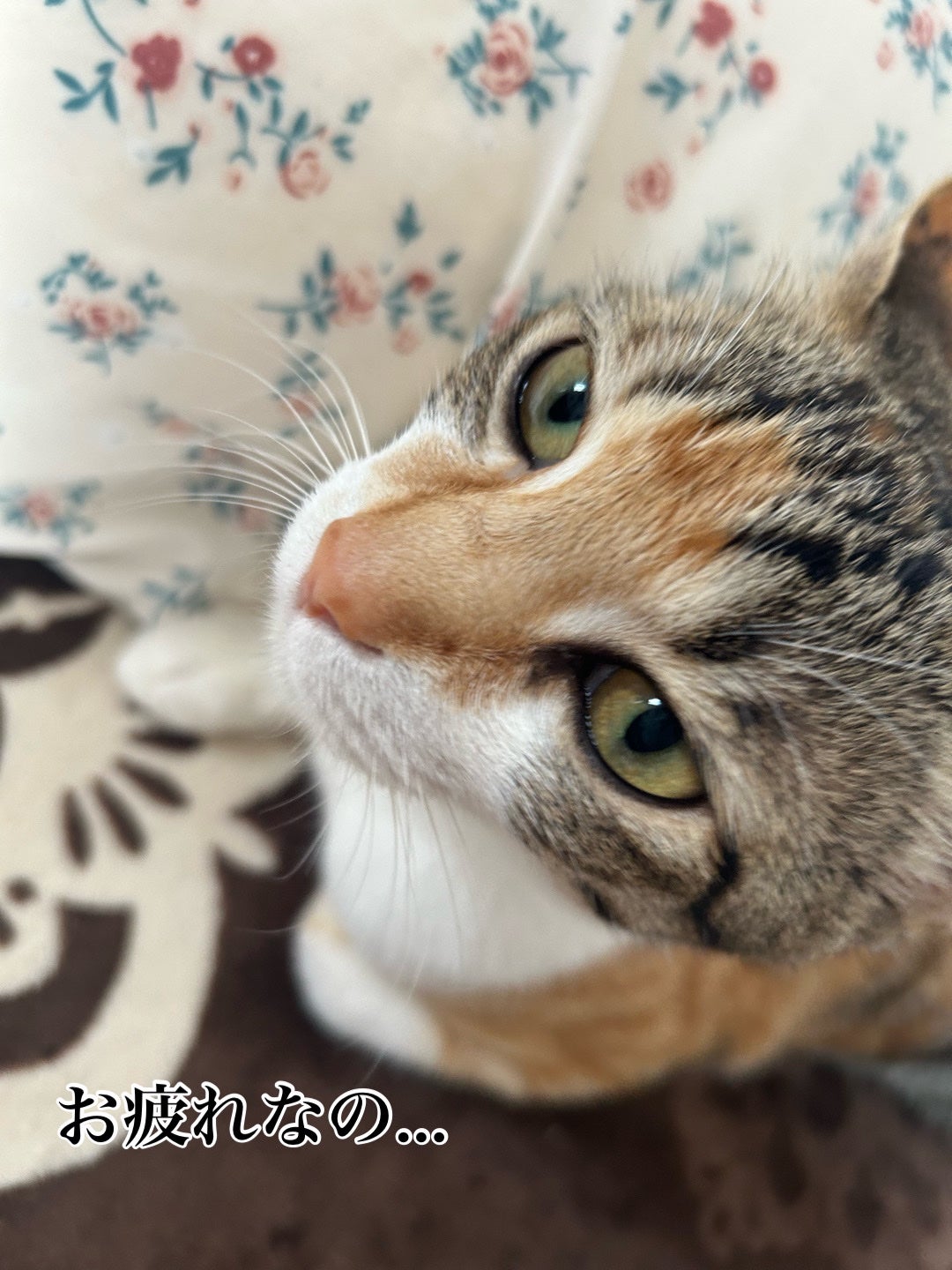 ðââ¬ã«ãããðŸ on LIPS ãã¡ã³ã«ãã4åç®ã®çºæ
æã3ã4æ¥å€§å£°ã§é³ŽããŠãŸããããã¡ãã¡..ãïŒ3æç®ïŒ