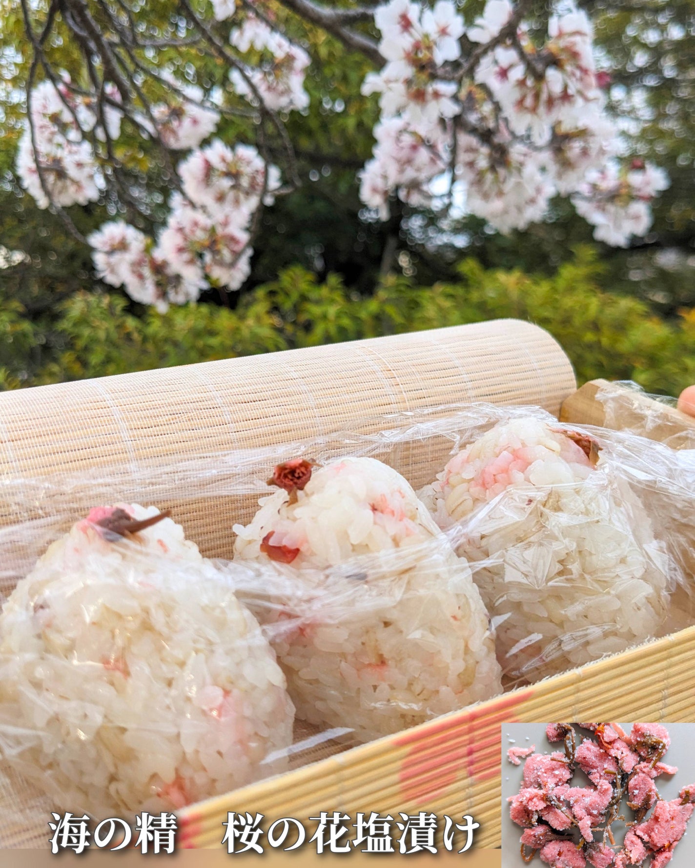 コスメ大好き☆きらら on LIPS 「海の精 桜の花塩漬けの紹介です🍚奈良県吉野の桜🌸有名ですよね♡..」(1枚目)