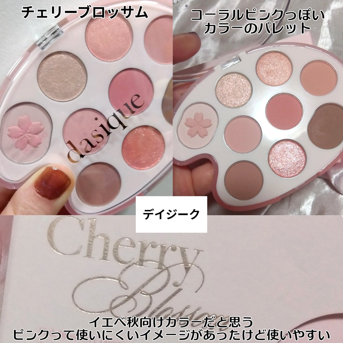 シャドウパレット/dasique/アイシャドウパレットを使ったクチコミ(2枚目)