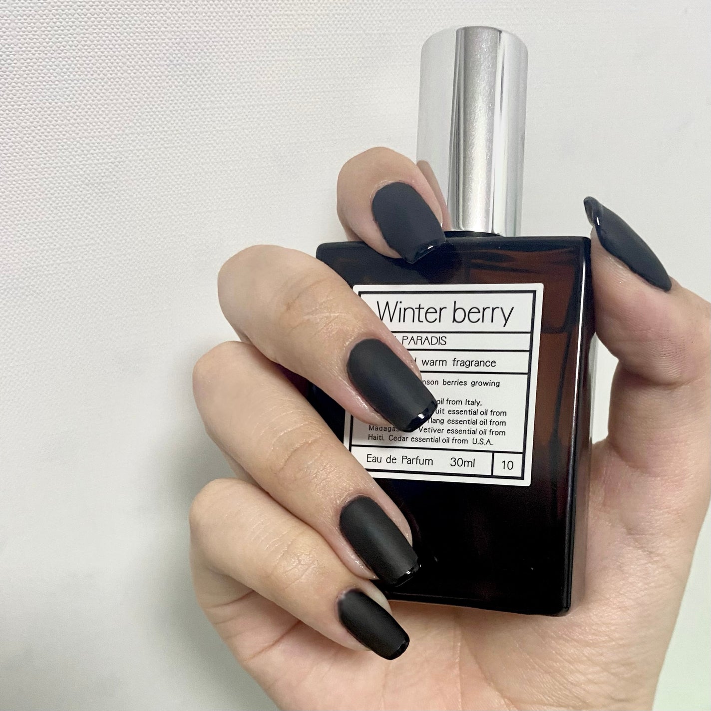 ネイルホリック/ネイルホリック/マニキュアを使ったクチコミ(1枚目)