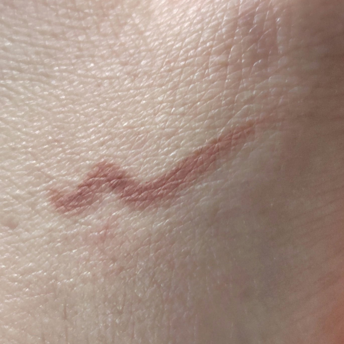 ケイト リップモンスター/KATE/口紅を使ったクチコミ(2枚目)