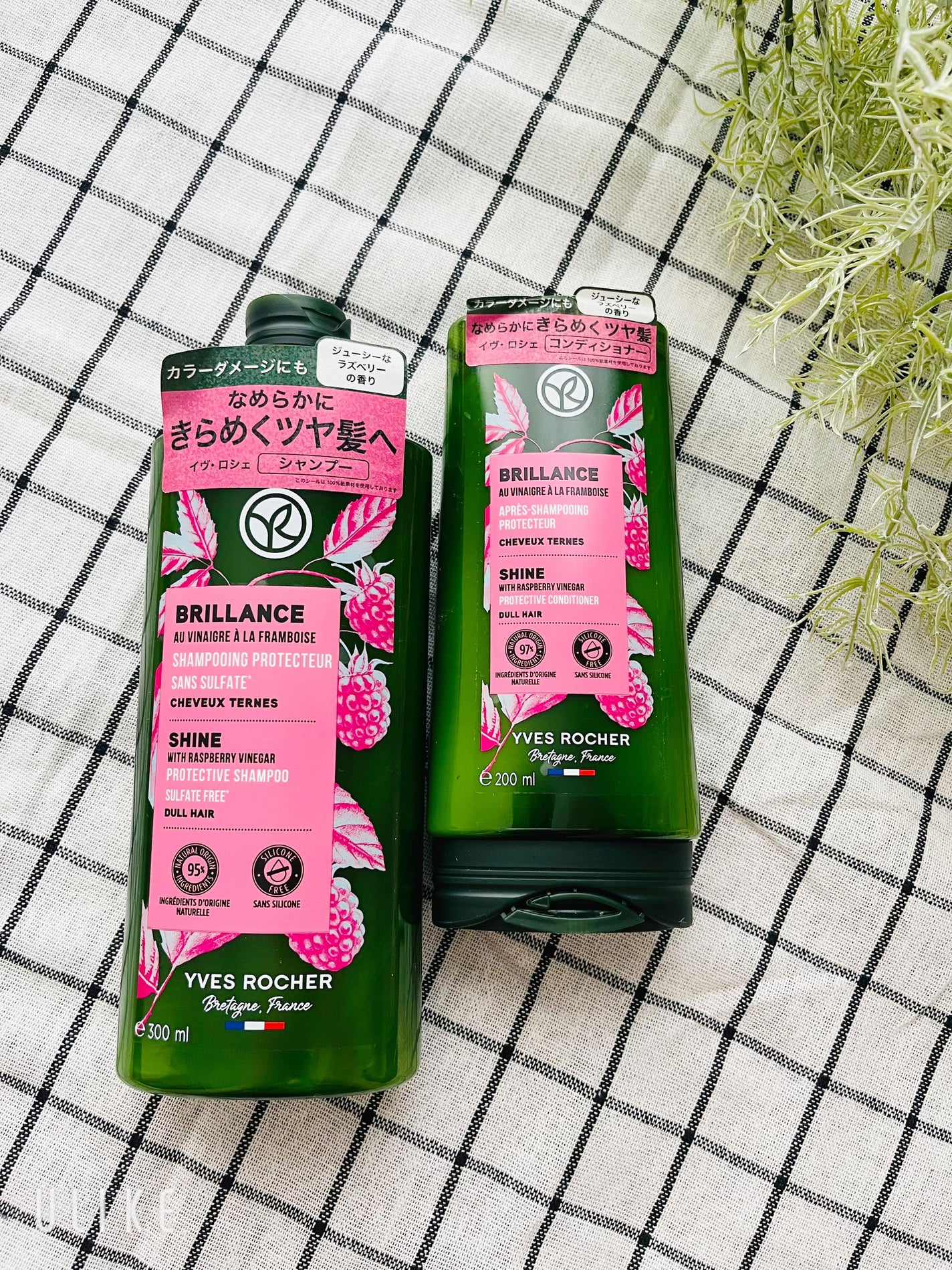 ヘルシースカルプ シャンプー/コンディショナー 〈シルキーシャイン〉/イヴ・ロシェ/市販シャンプーを使ったクチコミ(1枚目)