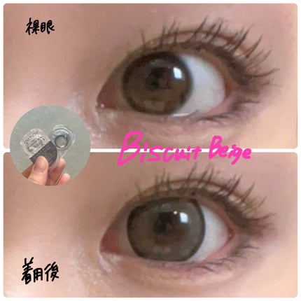 michou 1day/michou/ワンデー(1DAY)カラコンを使ったクチコミ(4枚目)