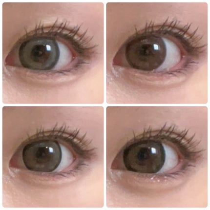 michou 1day/michou/ワンデー(1DAY)カラコンを使ったクチコミ(6枚目)