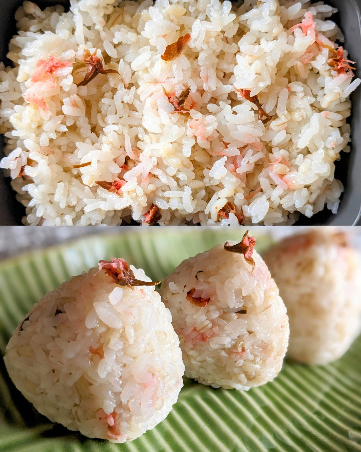 コスメ大好き☆きらら on LIPS 「海の精 桜の花塩漬けの紹介です🍚奈良県吉野の桜🌸有名ですよね♡..」(7枚目)