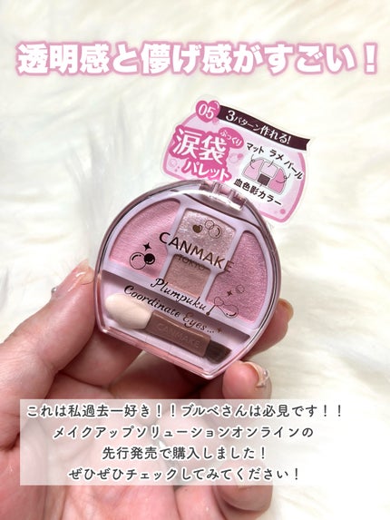 プランぷくコーデアイズ/キャンメイク/パウダーアイシャドウを使ったクチコミ(6枚目)