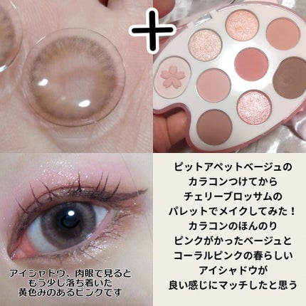 シャドウパレット/dasique/アイシャドウパレットを使ったクチコミ(4枚目)