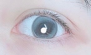 Double Tint 1day/OLENS/カラーコンタクトレンズを使ったクチコミ(2枚目)