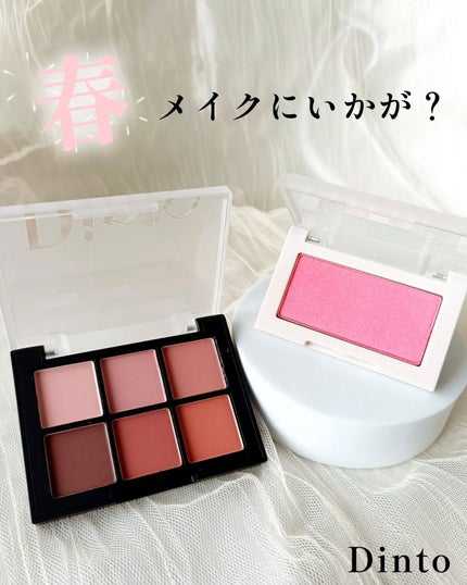 ブラーフィニシュシャドウパレット/Dinto/アイシャドウパレットを使ったクチコミ(1枚目)