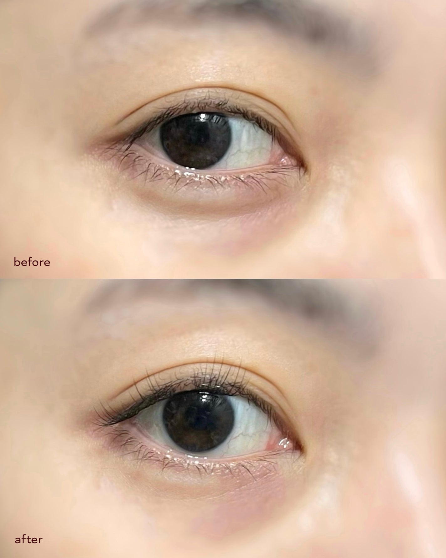 keybo BBiBBi LASH/keybo/つけまつげを使ったクチコミ(4枚目)